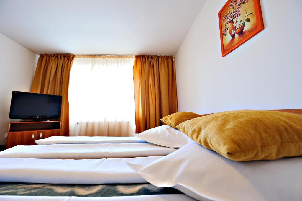Motel Confort Floresti  Rum bild