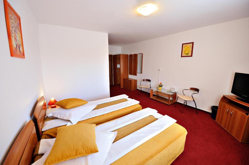 Motel Confort Floresti  Rum bild